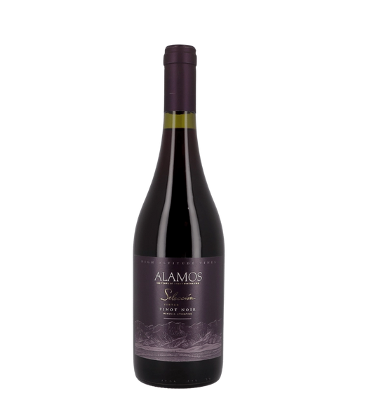 Alamos Pinot Noir 750ml - Compare prices in UAE
