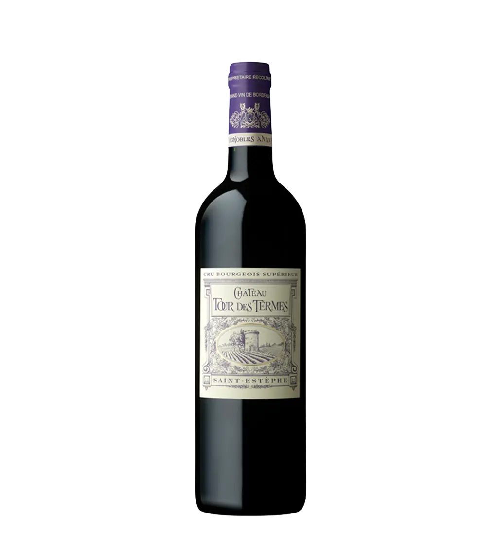 Chateau Tour des Termes Saint Estephe 750ml