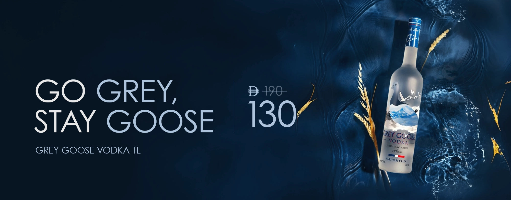 Banner 1 Mobile Image